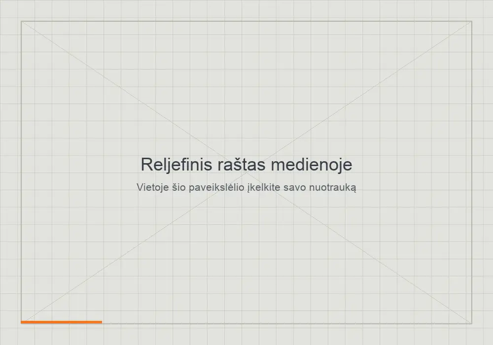 Reljefinis raštas, frezuotas medienos masyve